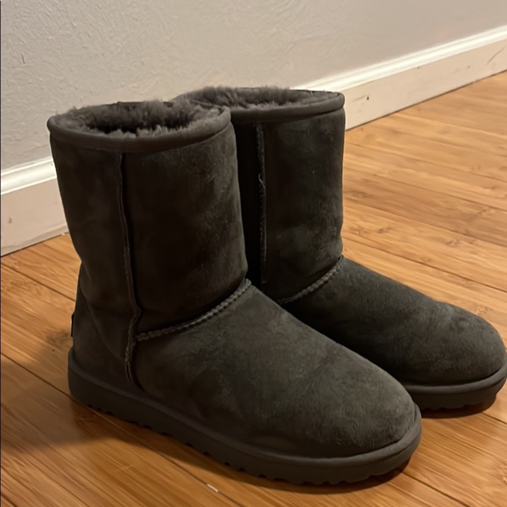 Grey Short Uggs